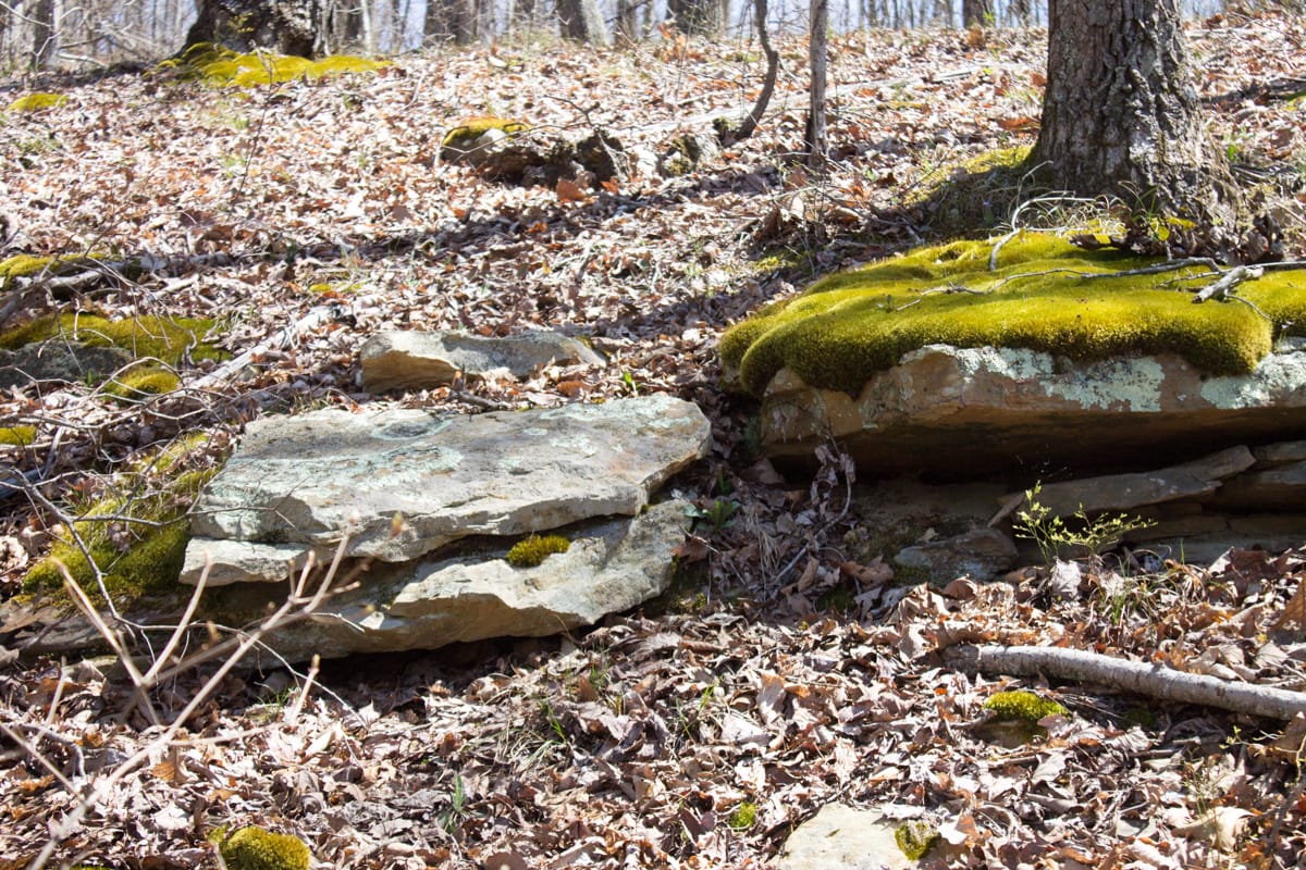 Chestnut Oak Ridge Tract 26 photo 6