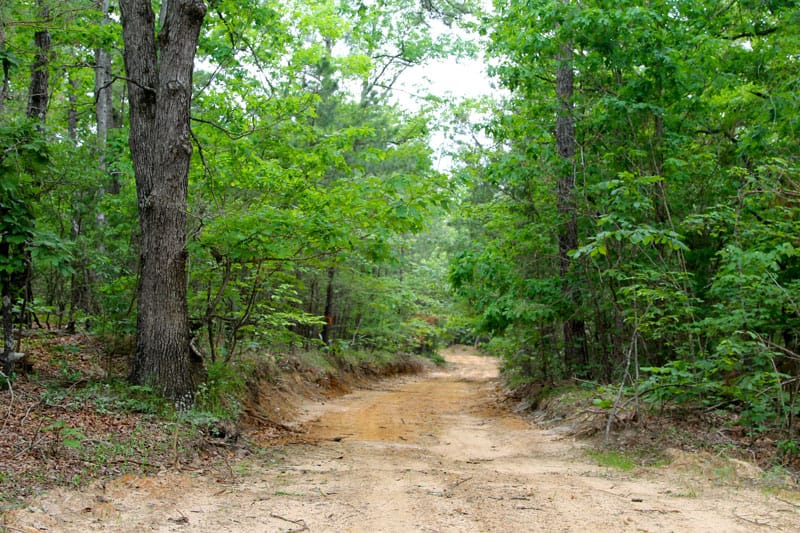 Trophy Ridge Phase II Tract 67 photo 1