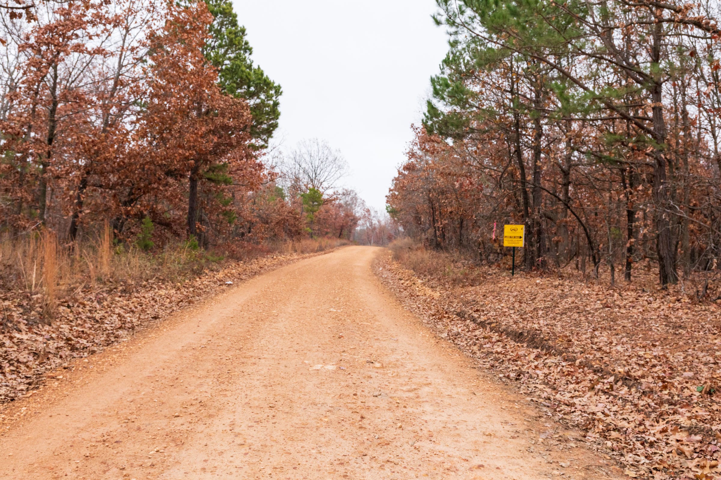 Carter’s Crossing Tract 4 photo 1