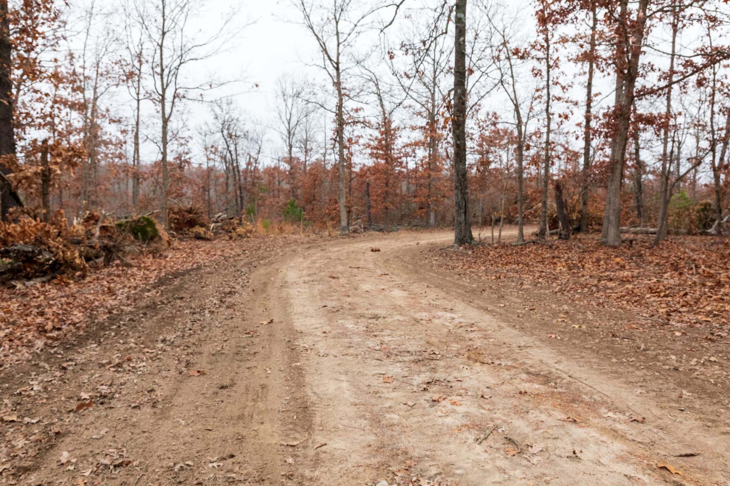 Carter’s Crossing Tract 4 photo 19