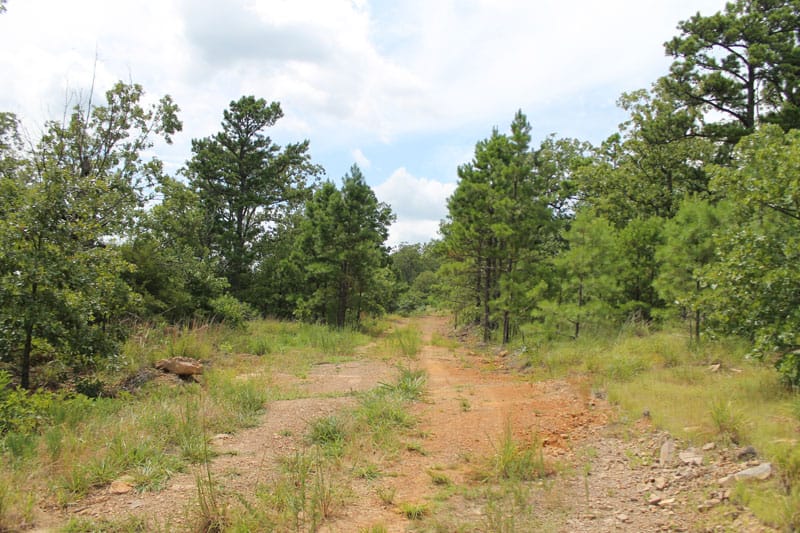 Trophy Ridge Phase III Tract 36 photo 1