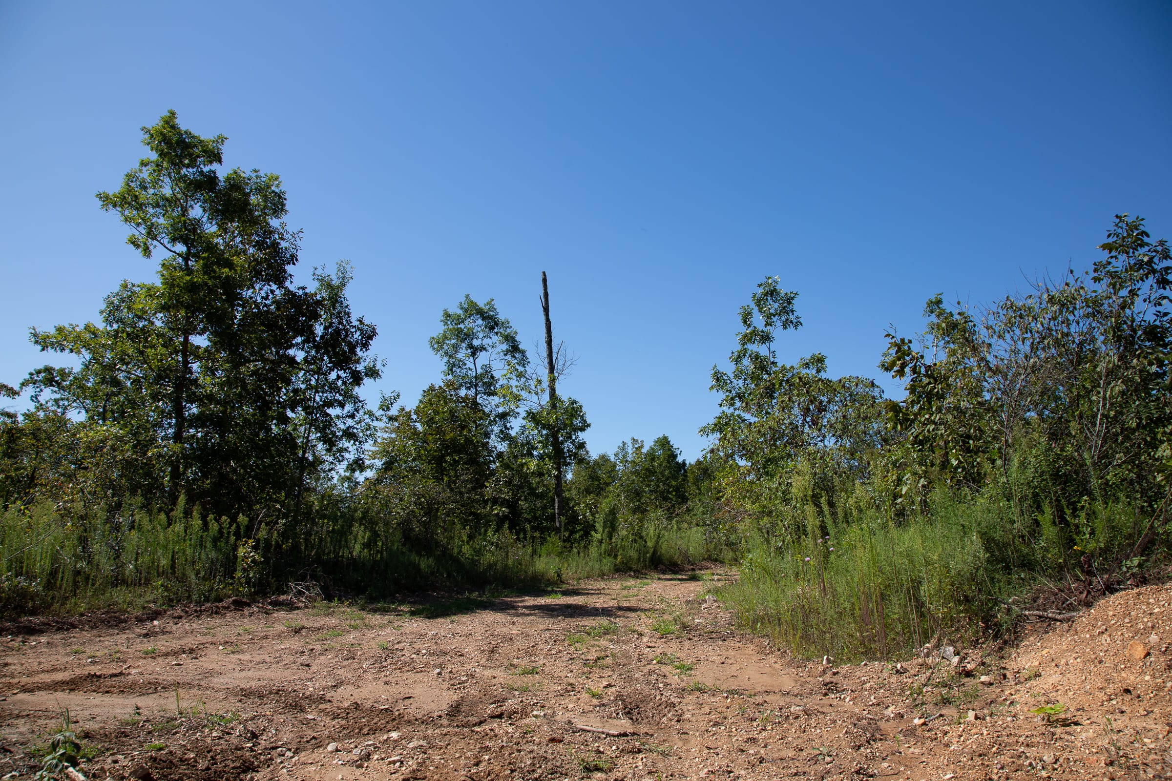 Borgmann’s Hollow Phase III Tract 74 photo 1