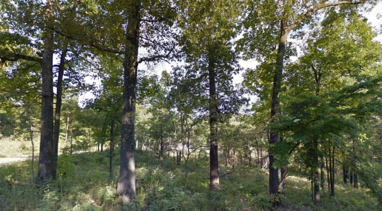 Ozark Acres Tract 3 photo 4