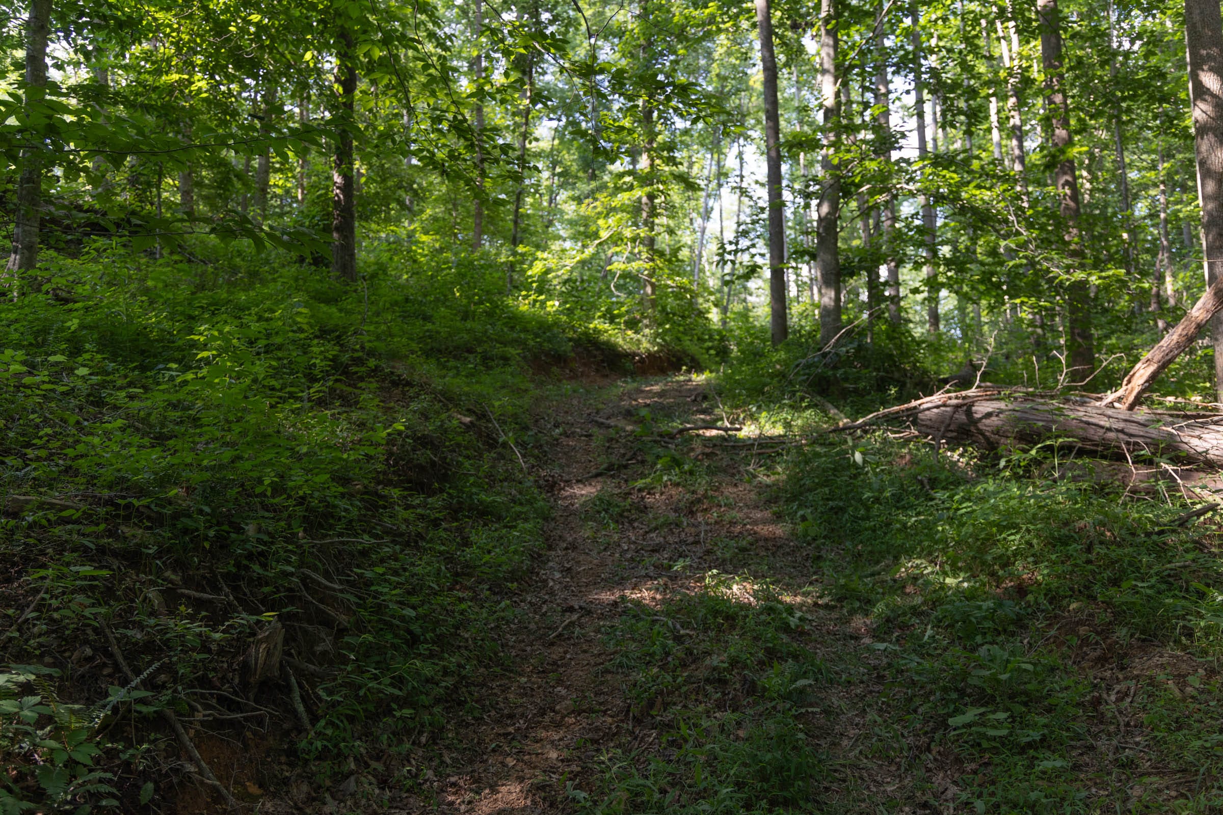 Creek Hollow Phase II Tract 65 photo 4