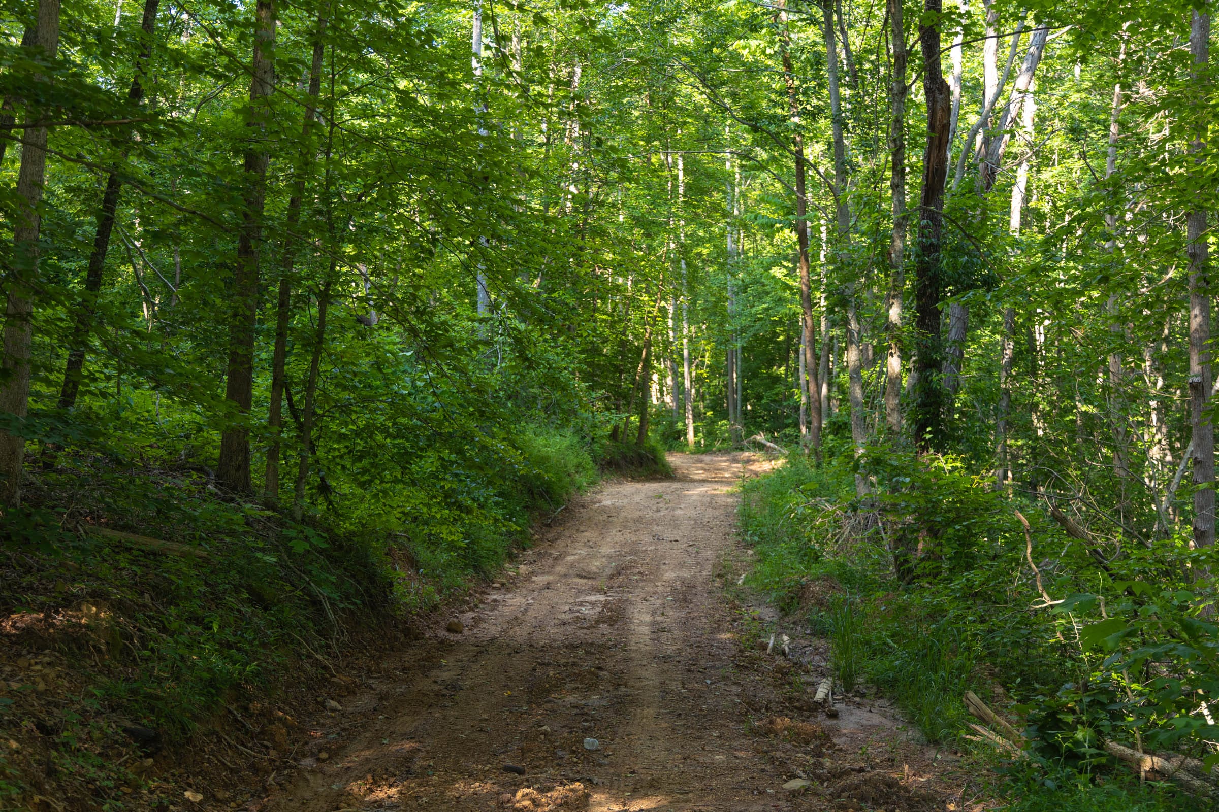 Creek Hollow Phase II Tract 65 photo 1