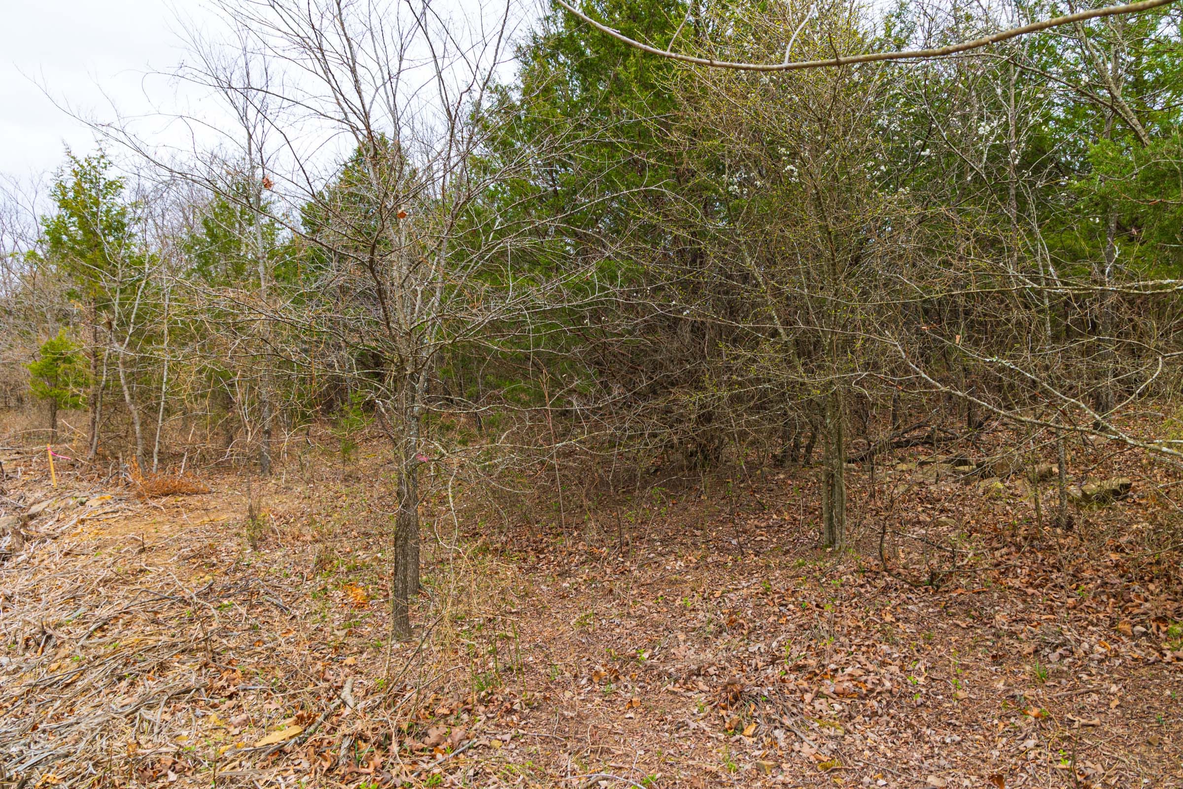 Reserves At Cattail Cove Phase I Tract 15 photo 18