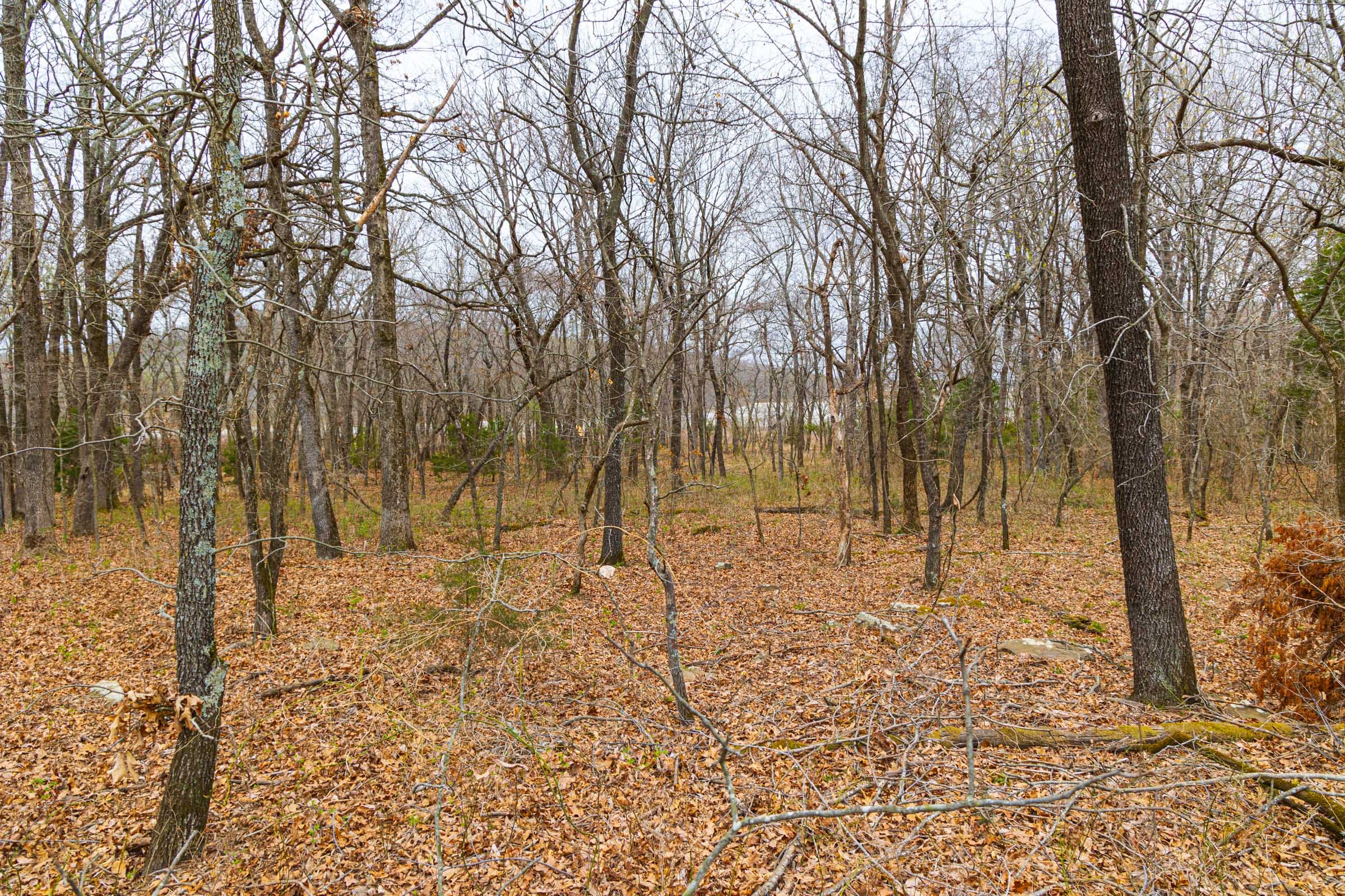 Reserves At Cattail Cove Phase I Tract 15 photo 17