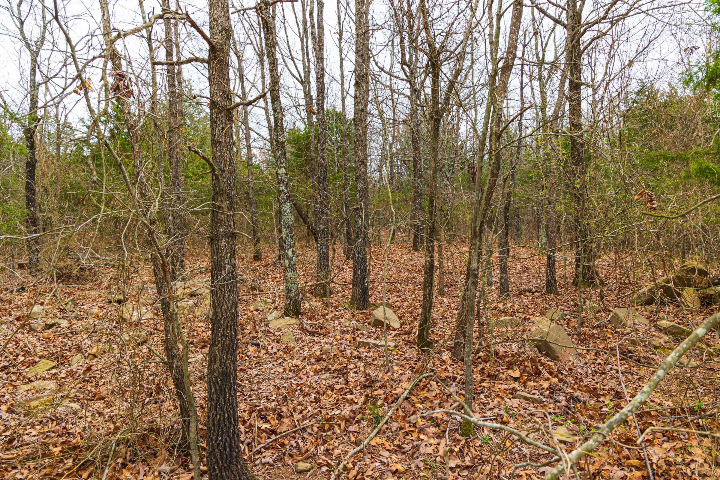 Reserves At Cattail Cove Phase I Tract 15 photo 14