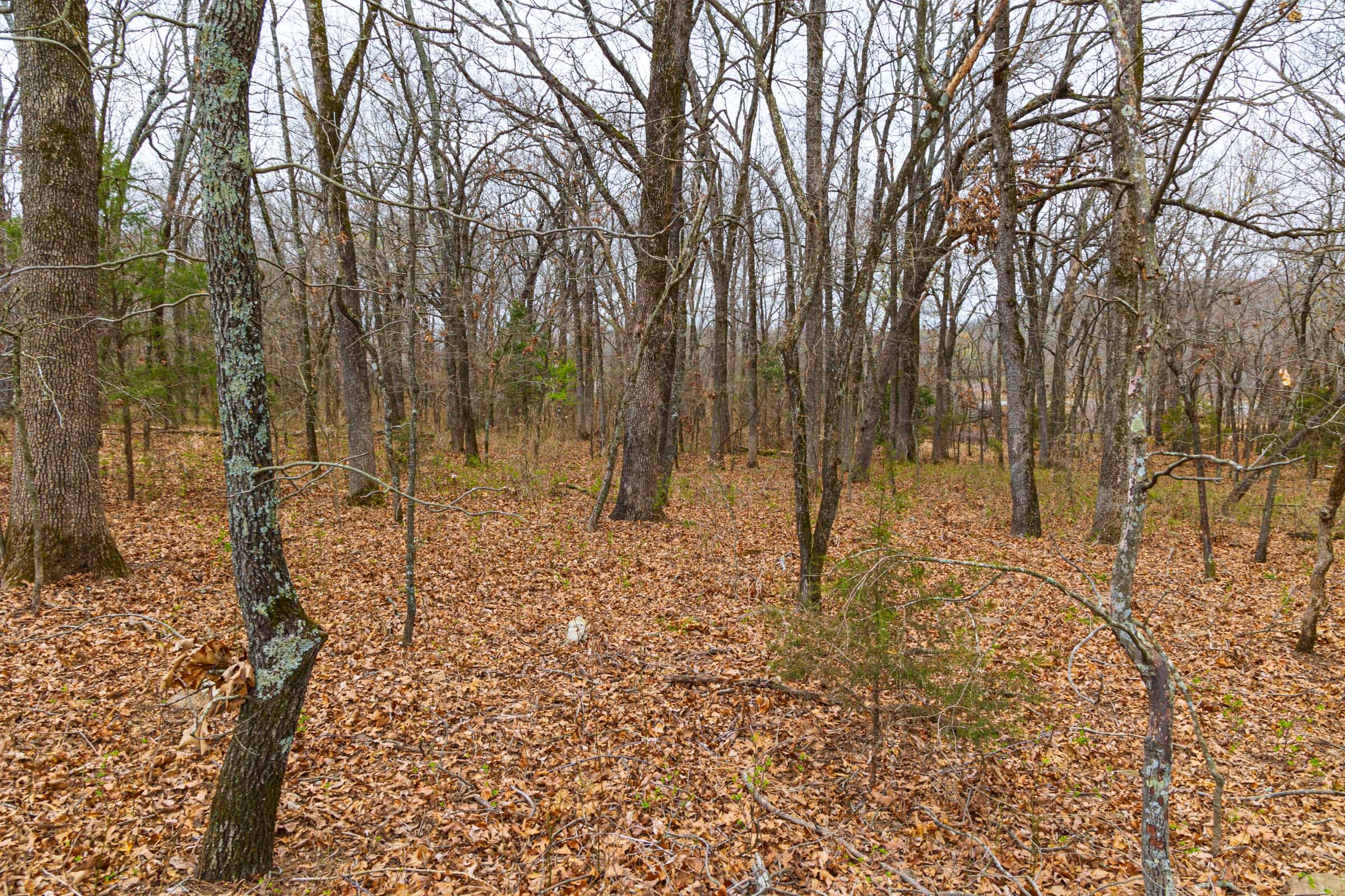 Reserves At Cattail Cove Phase I Tract 15 photo 13