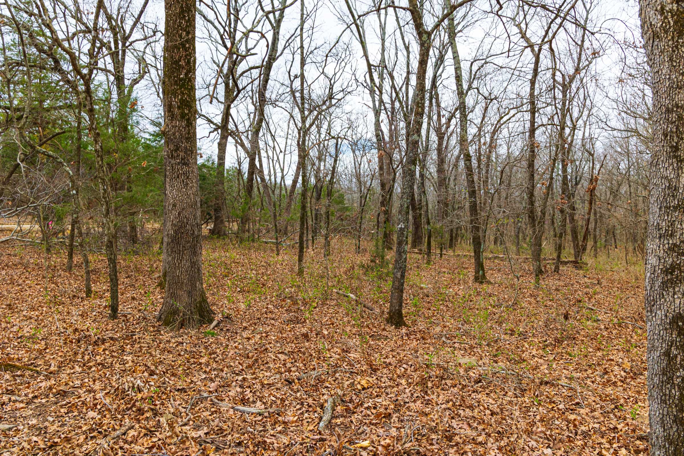 Reserves At Cattail Cove Phase I Tract 15 photo 10