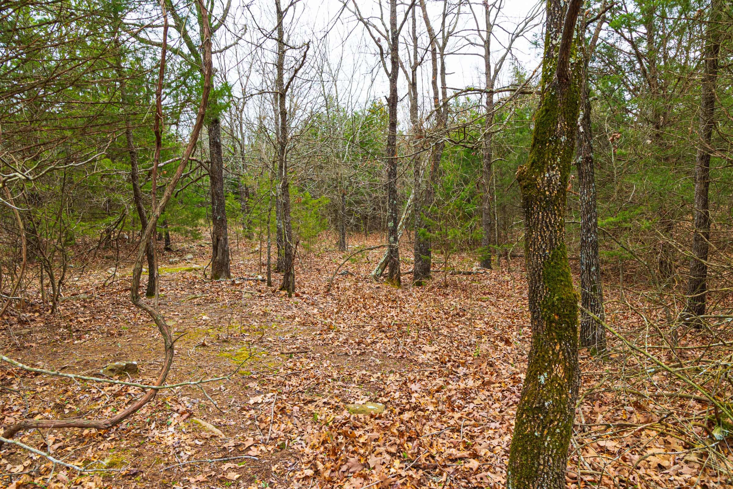 Reserves At Cattail Cove Phase I Tract 15 photo 9