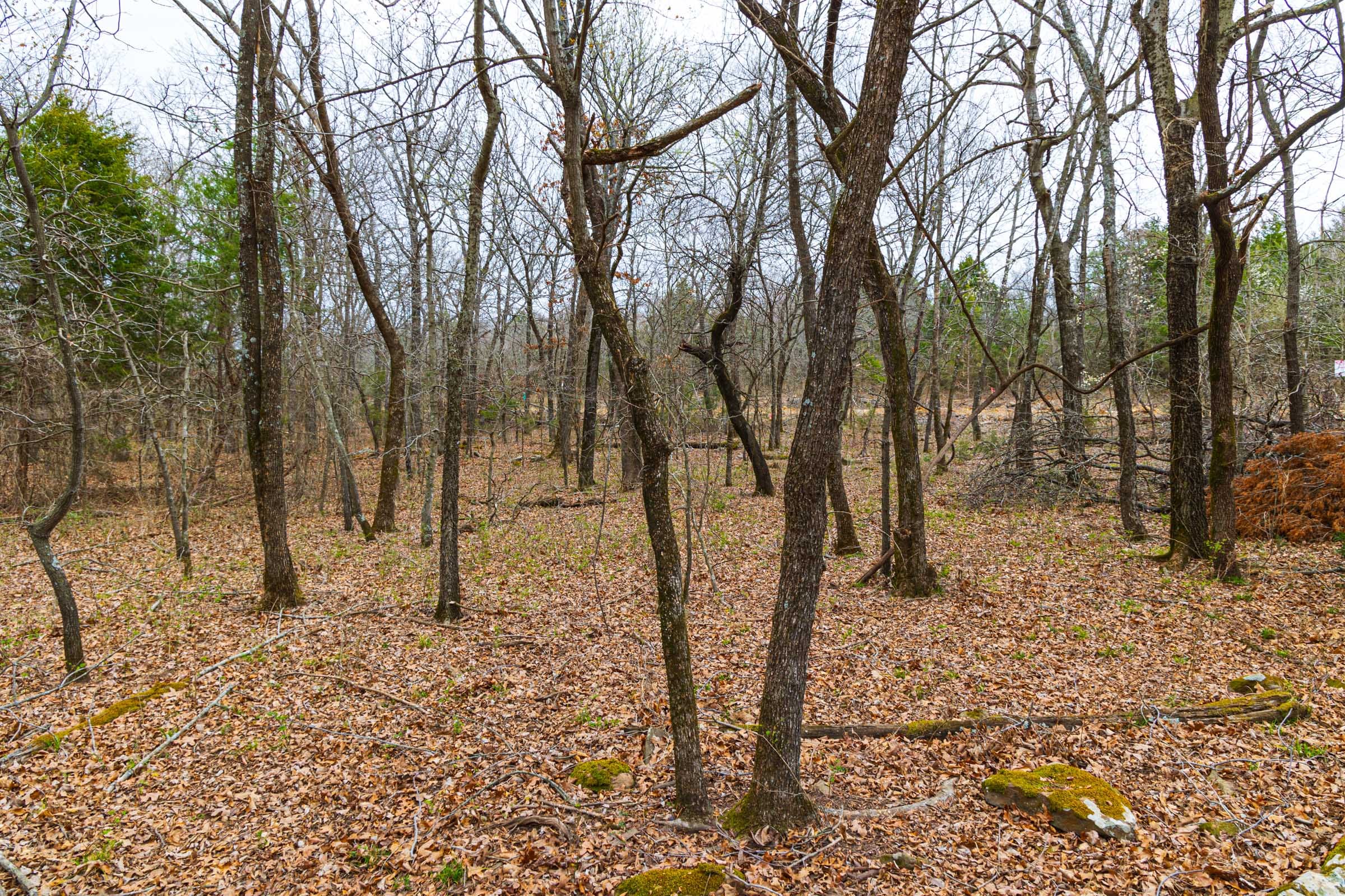 Reserves At Cattail Cove Phase I Tract 15 photo 8