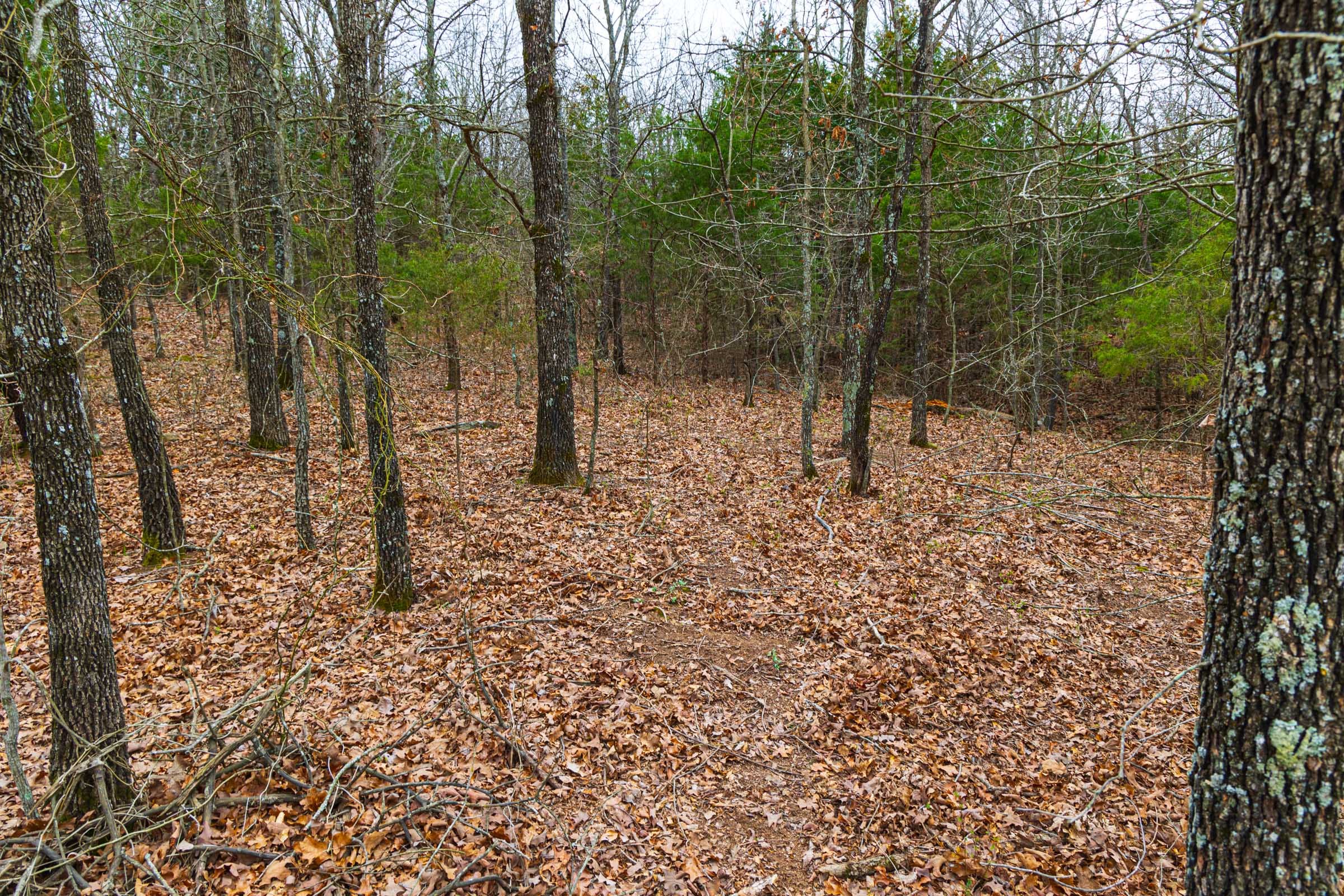 Reserves At Cattail Cove Phase I Tract 15 photo 6