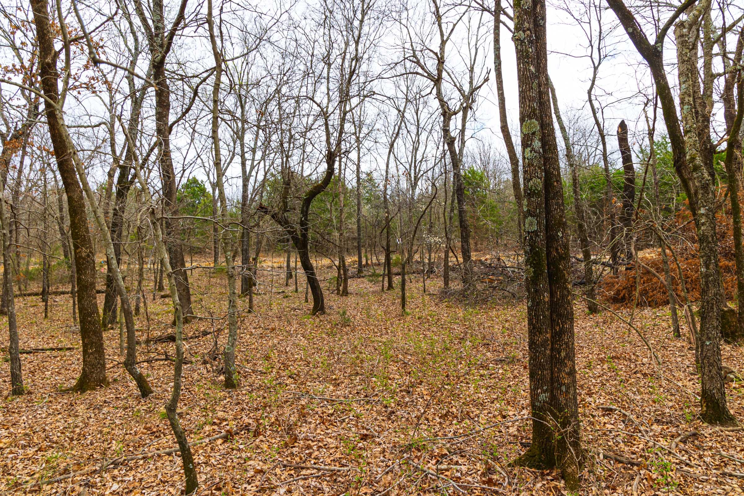 Reserves At Cattail Cove Phase I Tract 15 photo 3