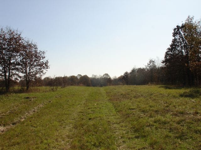 Tranquility Farms Tract 11 photo 1