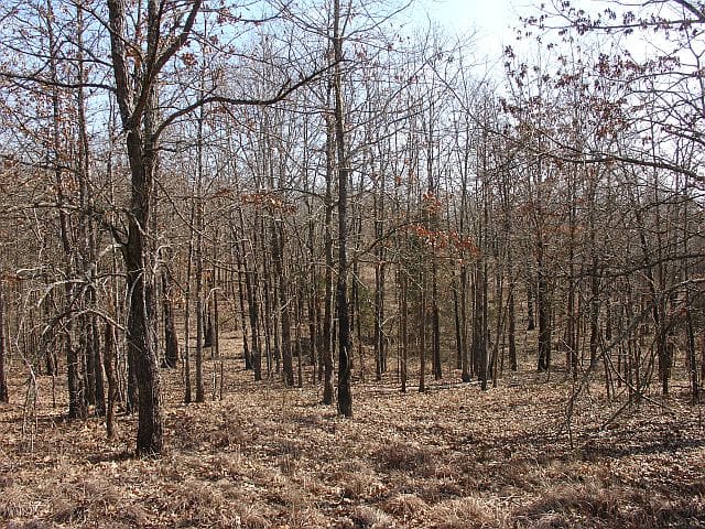 Tranquility Farms Tract 11 photo 2