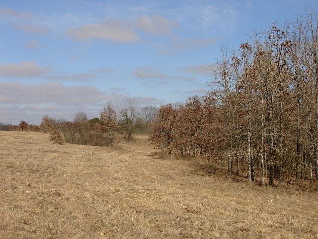 Tranquility Farms Tract 11 photo 4