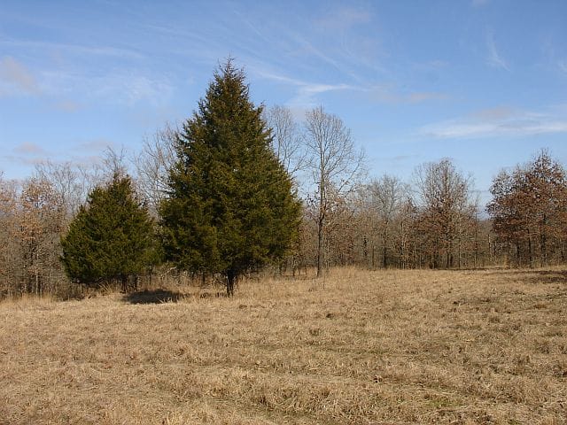 Tranquility Farms Tract 11 photo 5