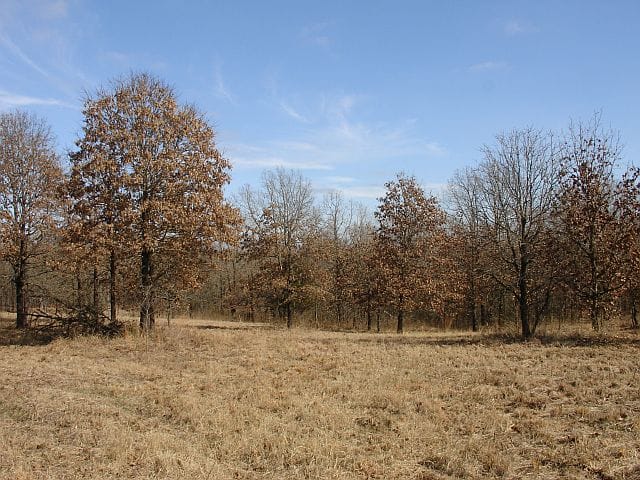 Tranquility Farms Tract 11 photo 7
