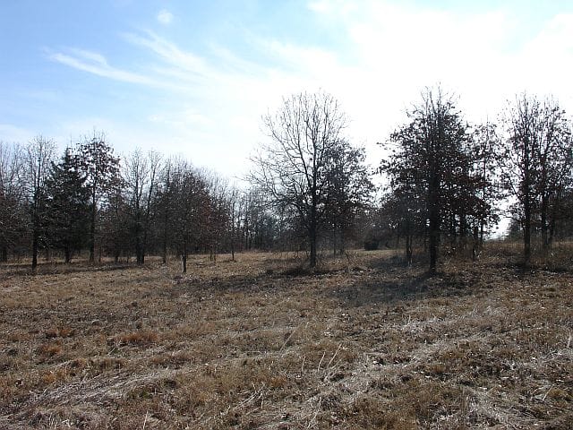 Tranquility Farms Tract 11 photo 8