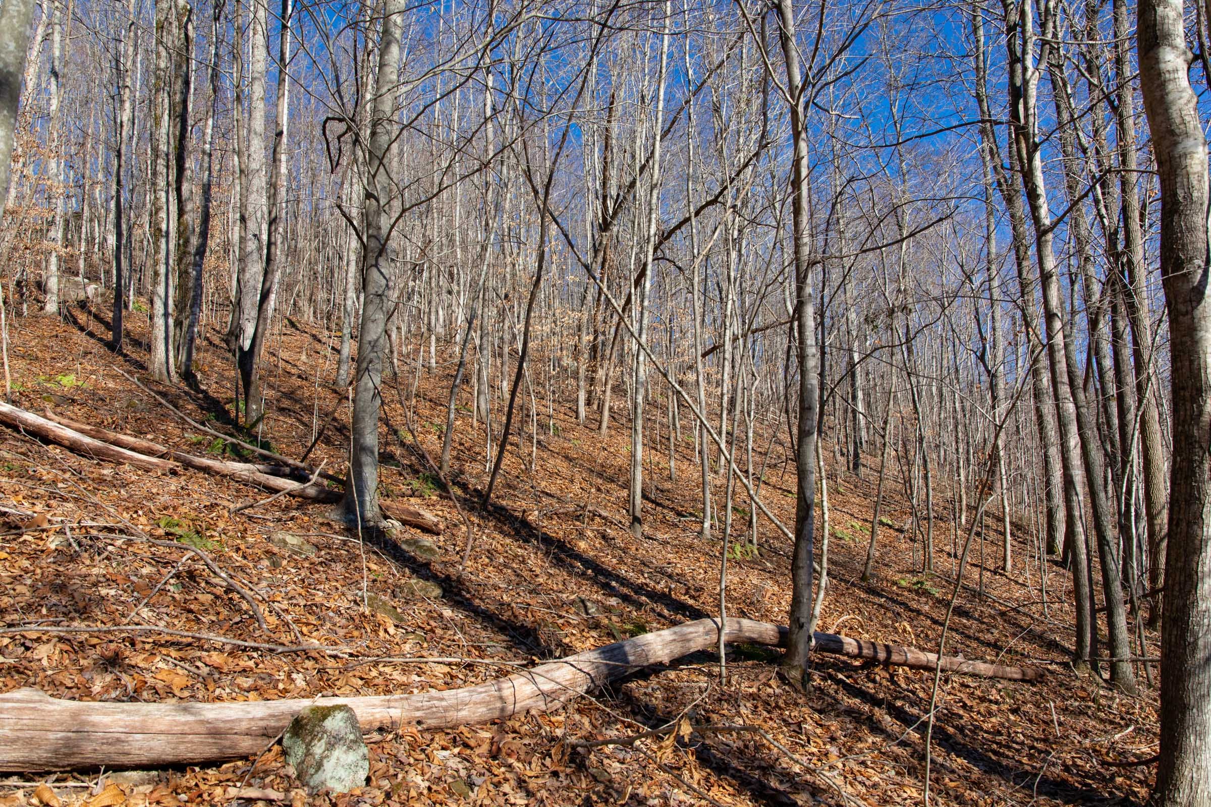 Blackstone Mountain Phase I Tract 22 photo 6