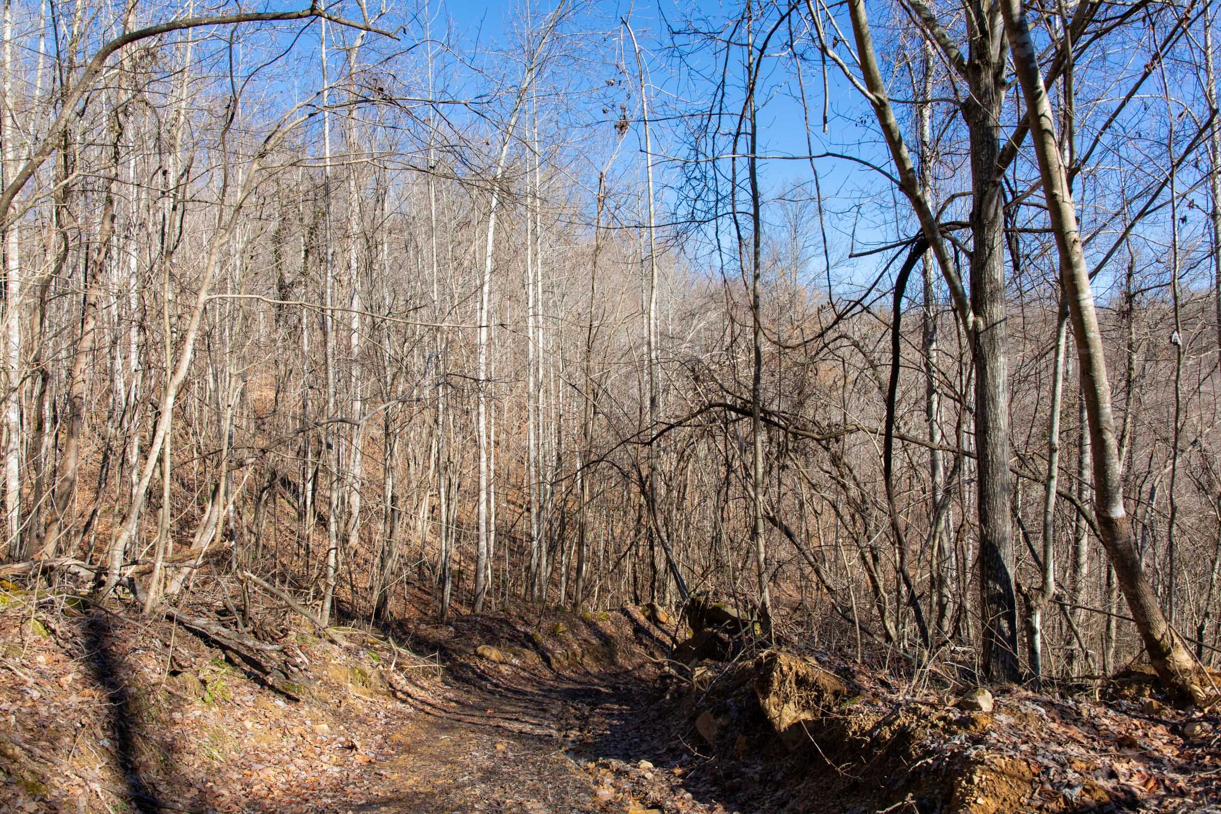 Blackstone Mountain Phase I Tract 22 photo 7