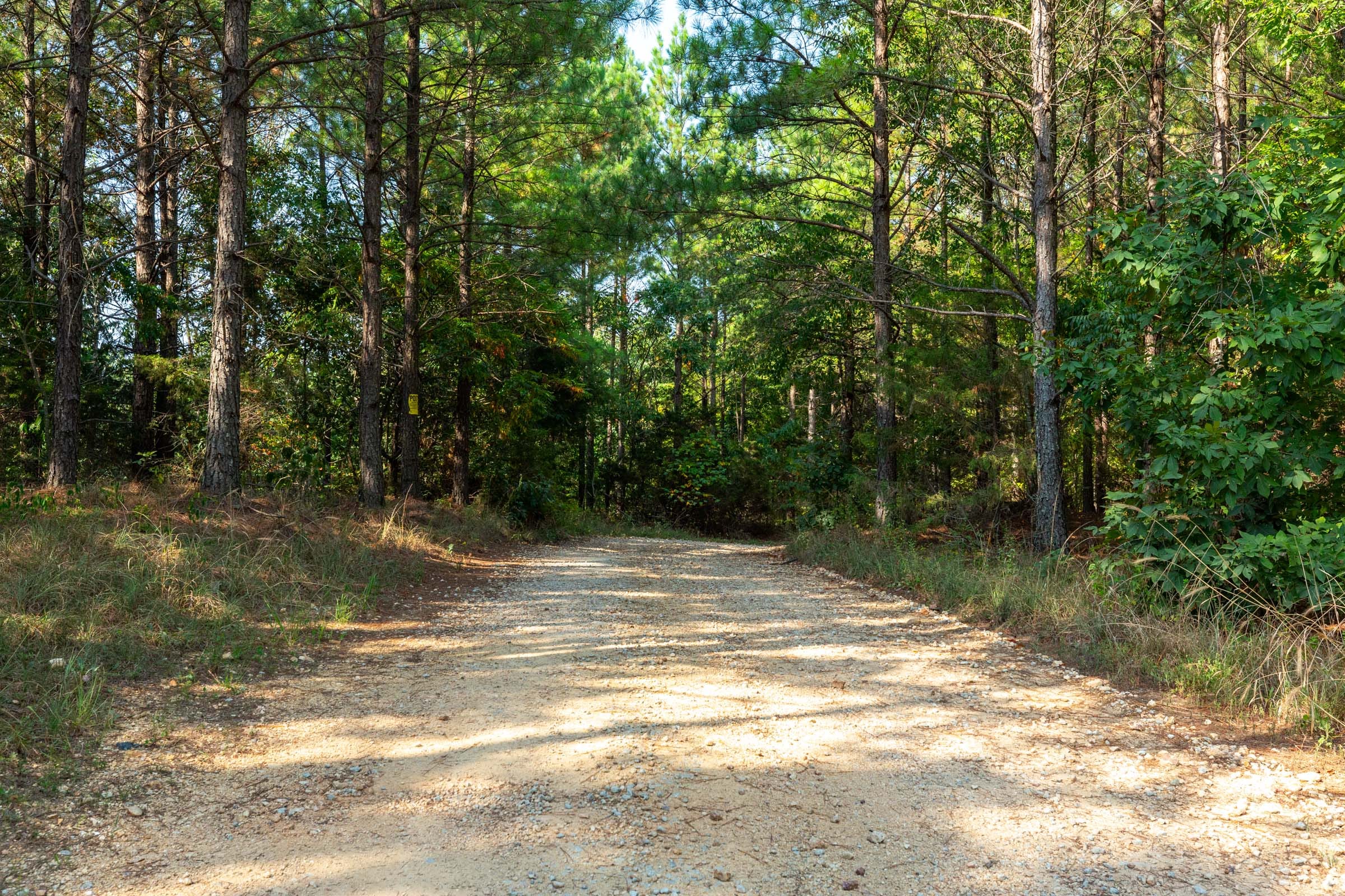 Harvest Ridge Tract 15 photo 1