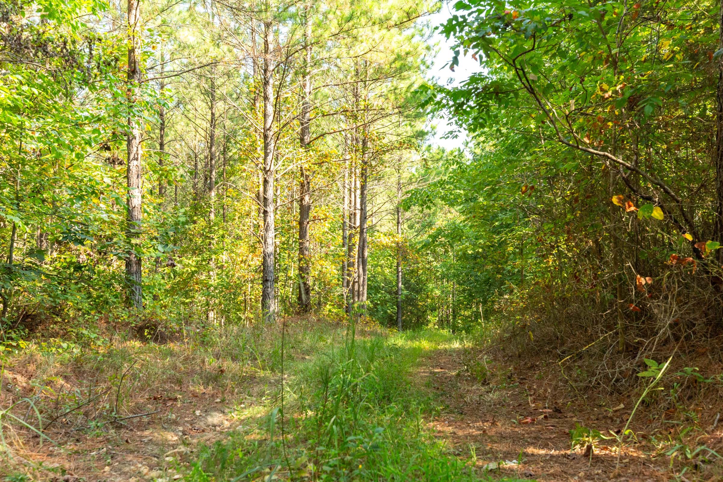 Harvest Ridge Tract 15 photo 7