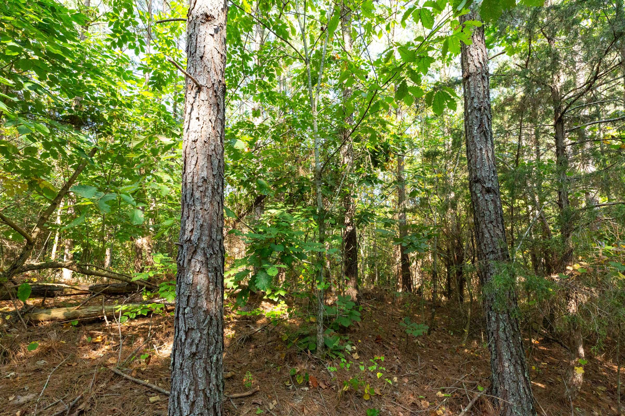 Harvest Ridge Tract 15 photo 12