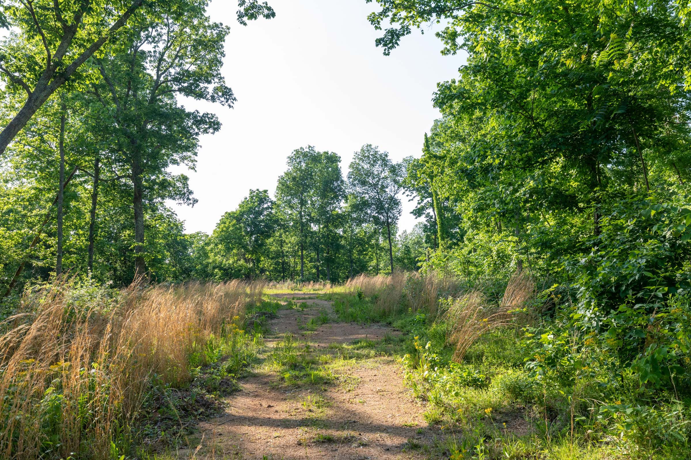 Cedar Creek Tract 56 photo 1