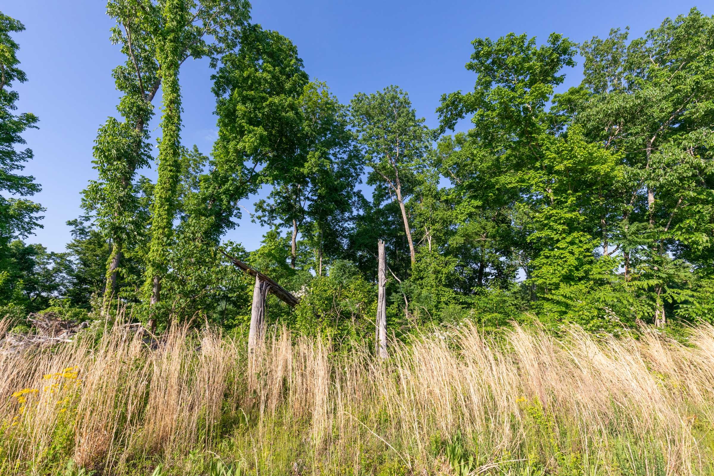 Cedar Creek Tract 56 photo 15