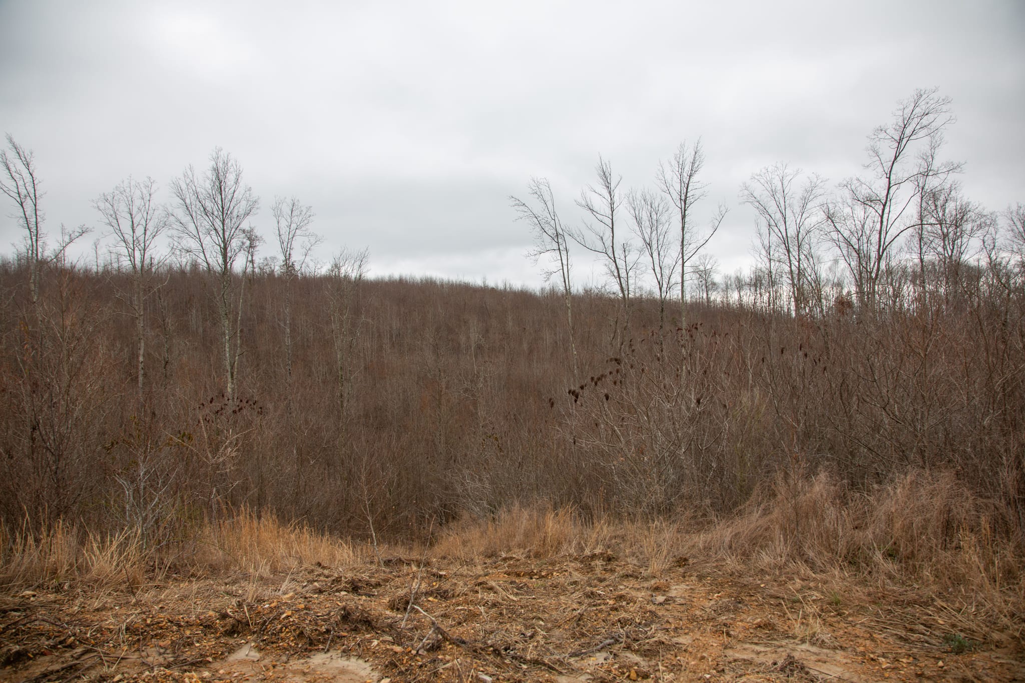 Southwind Ranch Tract 23 photo 2