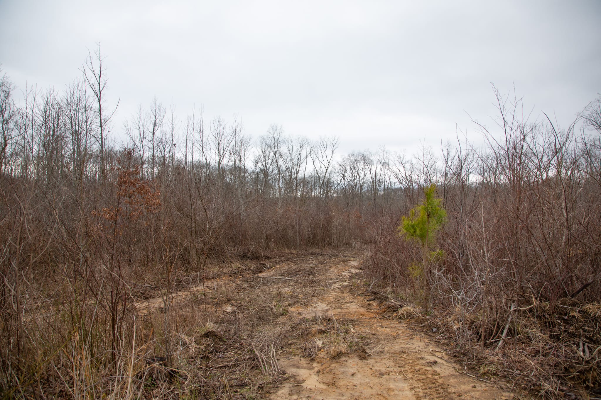 Southwind Ranch Tract 23 photo 1
