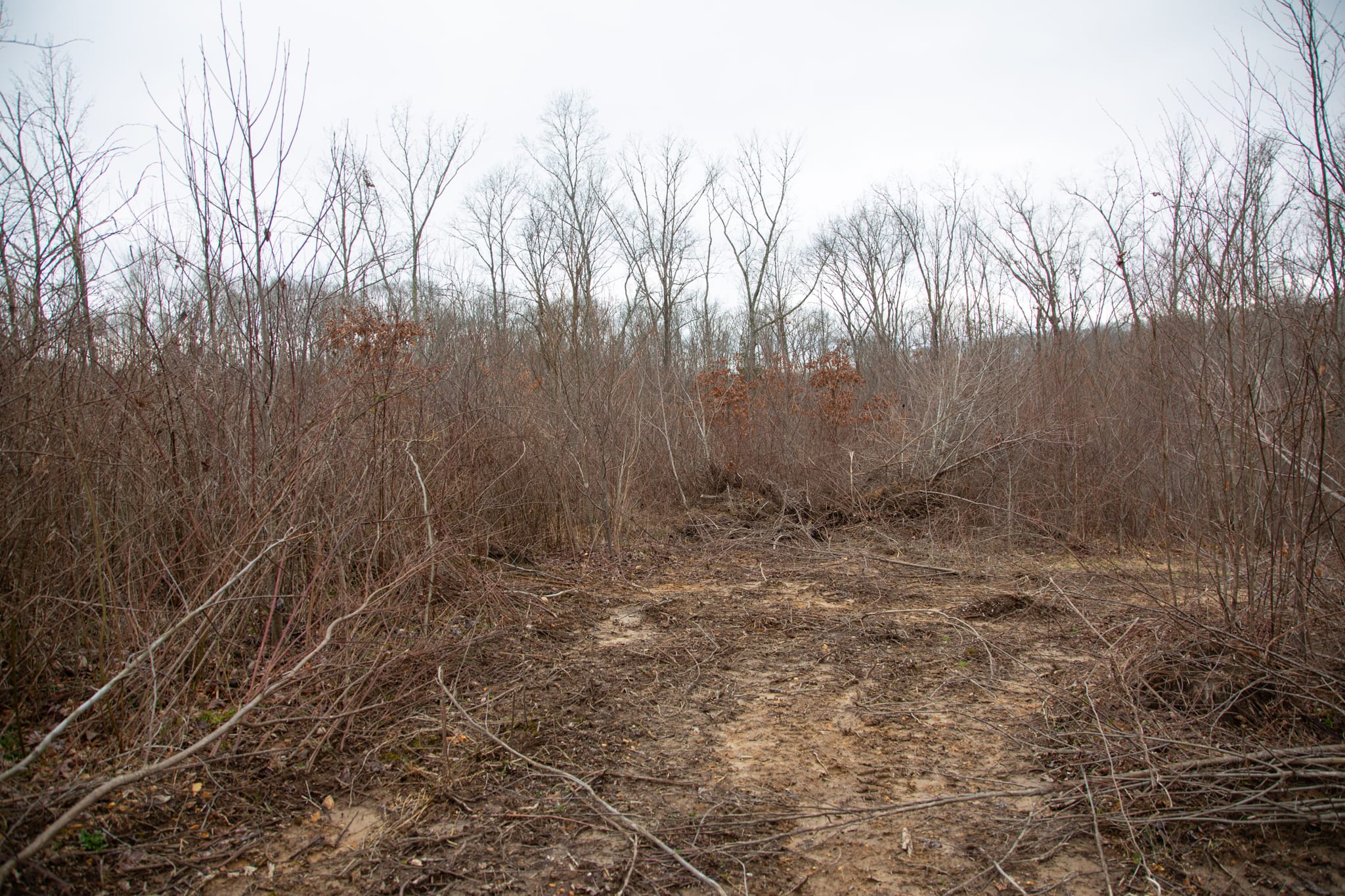 Southwind Ranch Tract 23 photo 4