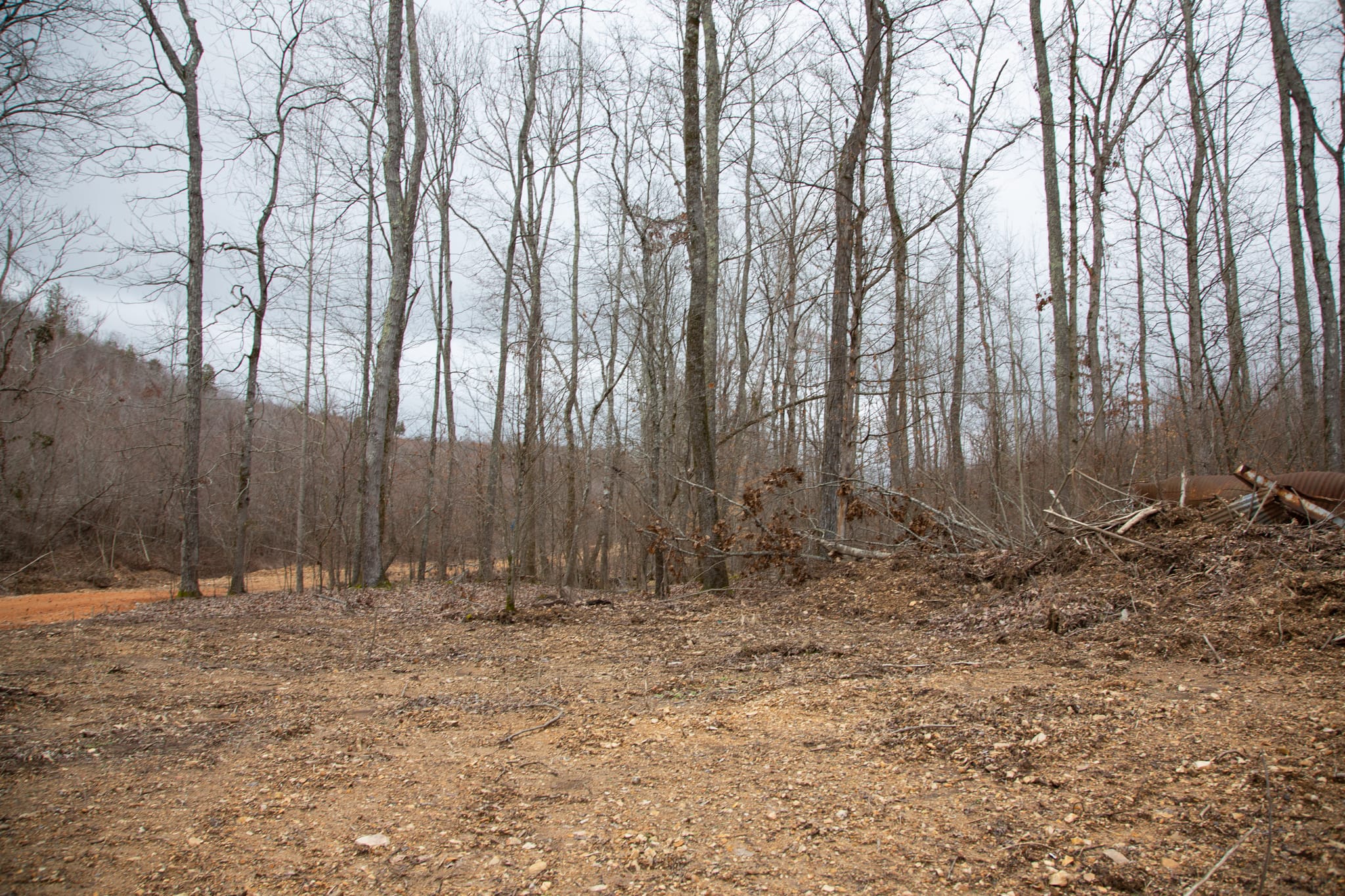 Southwind Ranch Tract 23 photo 7