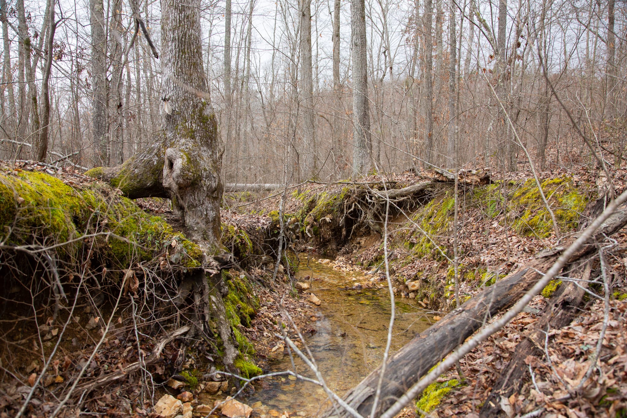 Southwind Ranch Tract 23 photo 13