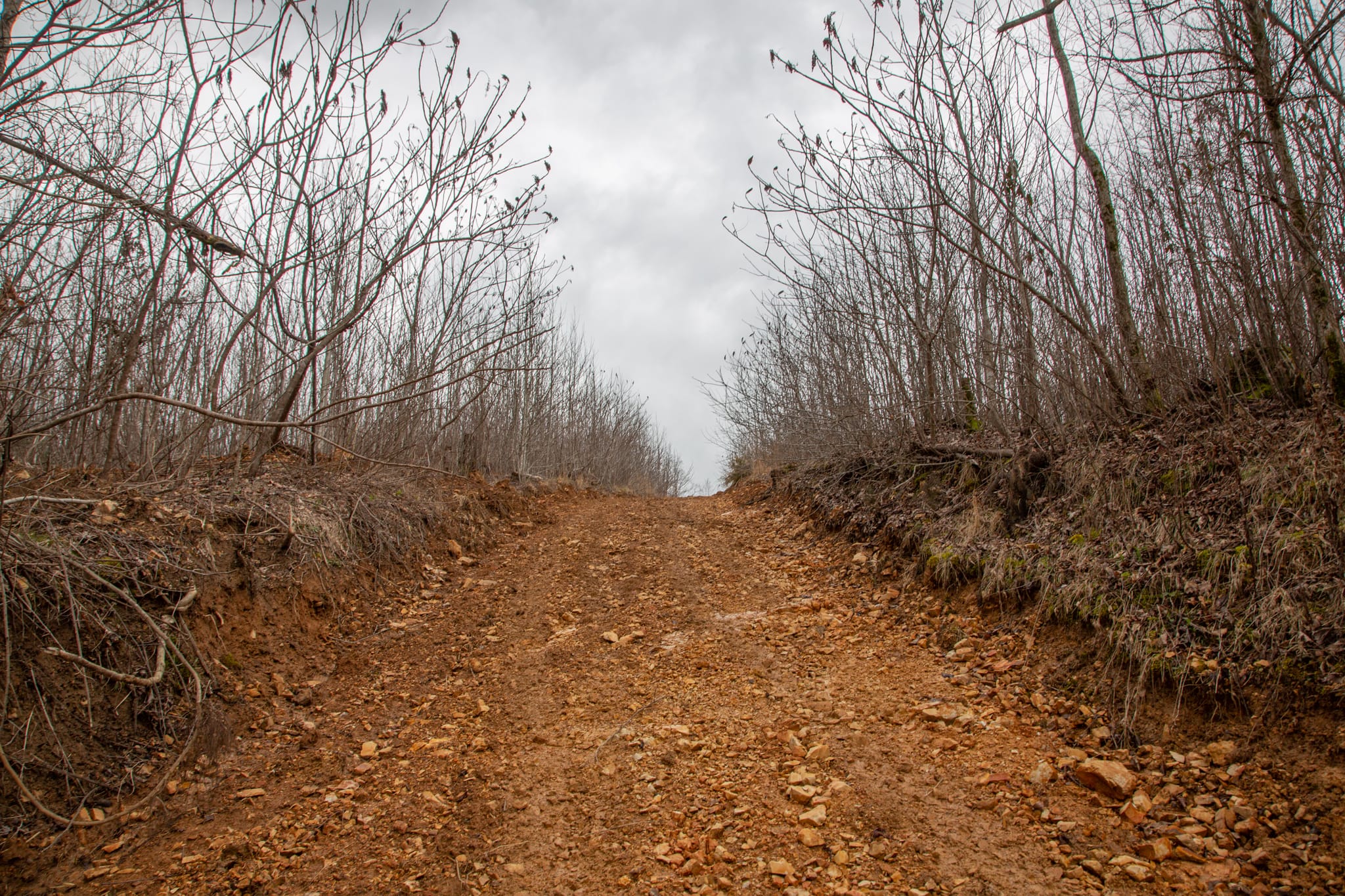 Southwind Ranch Tract 23 photo 19