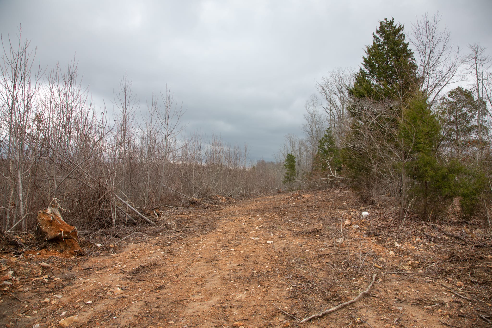 Southwind Ranch Tract 23 photo 21