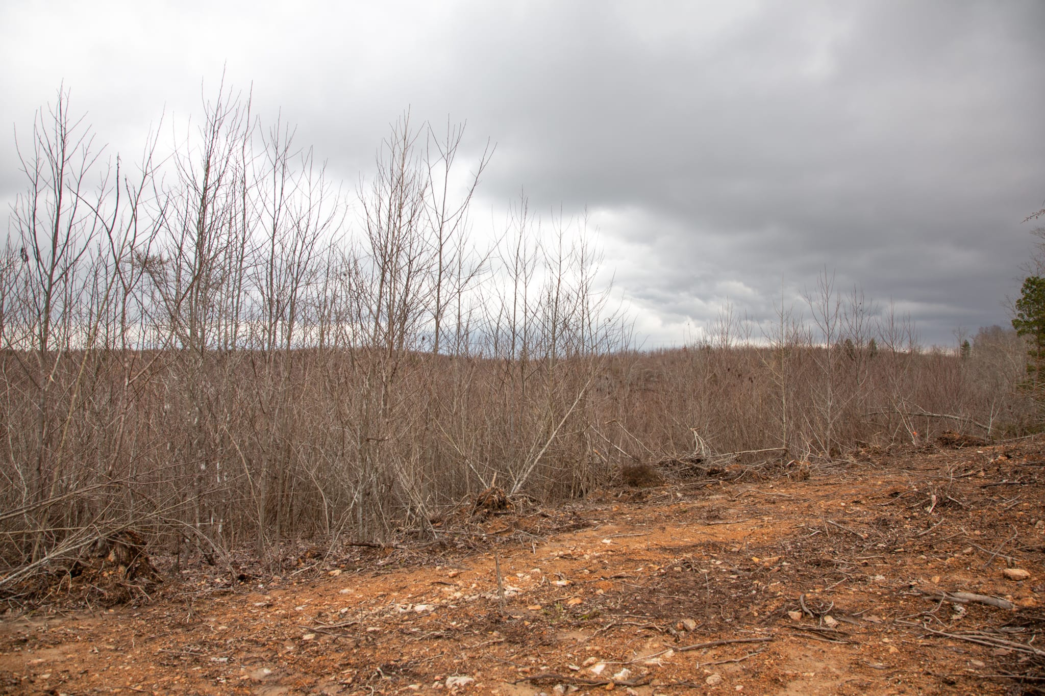Southwind Ranch Tract 23 photo 22