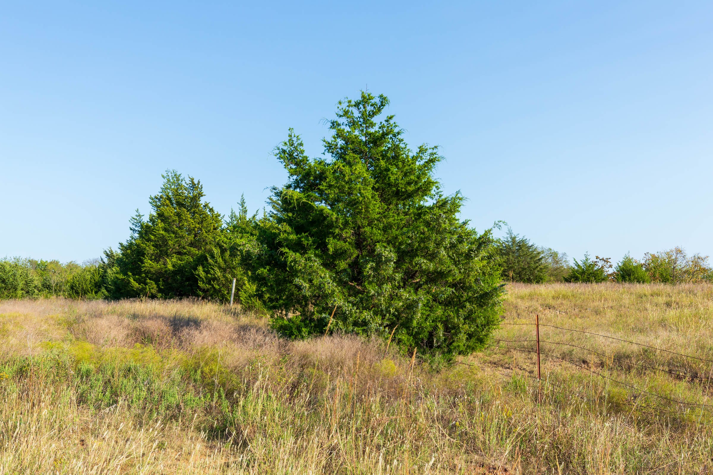 Canyon Creek Tract 7 photo 5