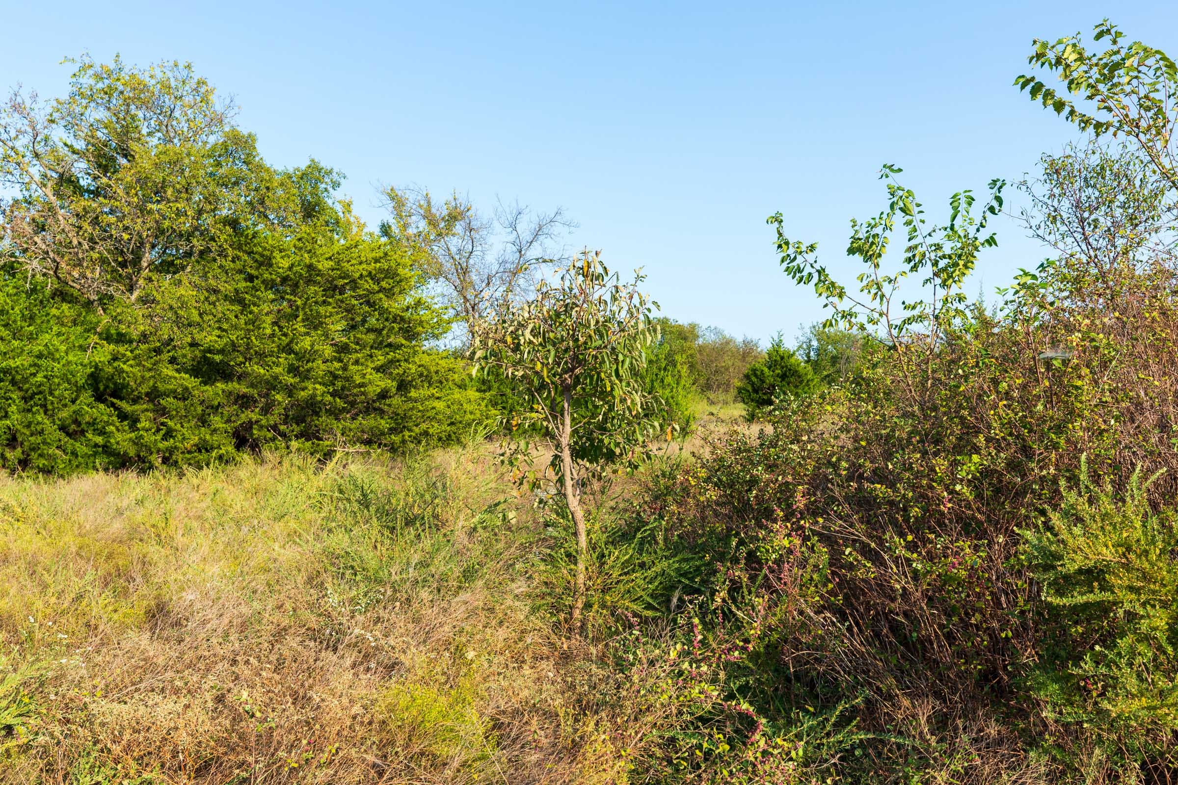 Canyon Creek Tract 7 photo 8