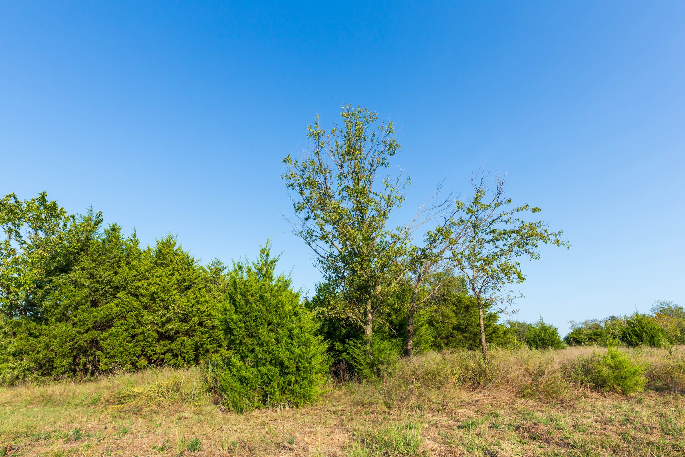 Canyon Creek Tract 7 photo 10