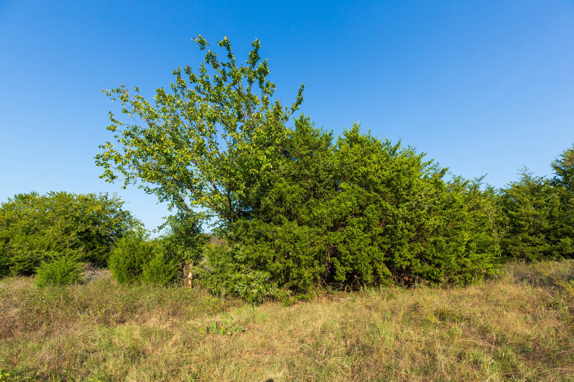 Canyon Creek Tract 7 photo 14
