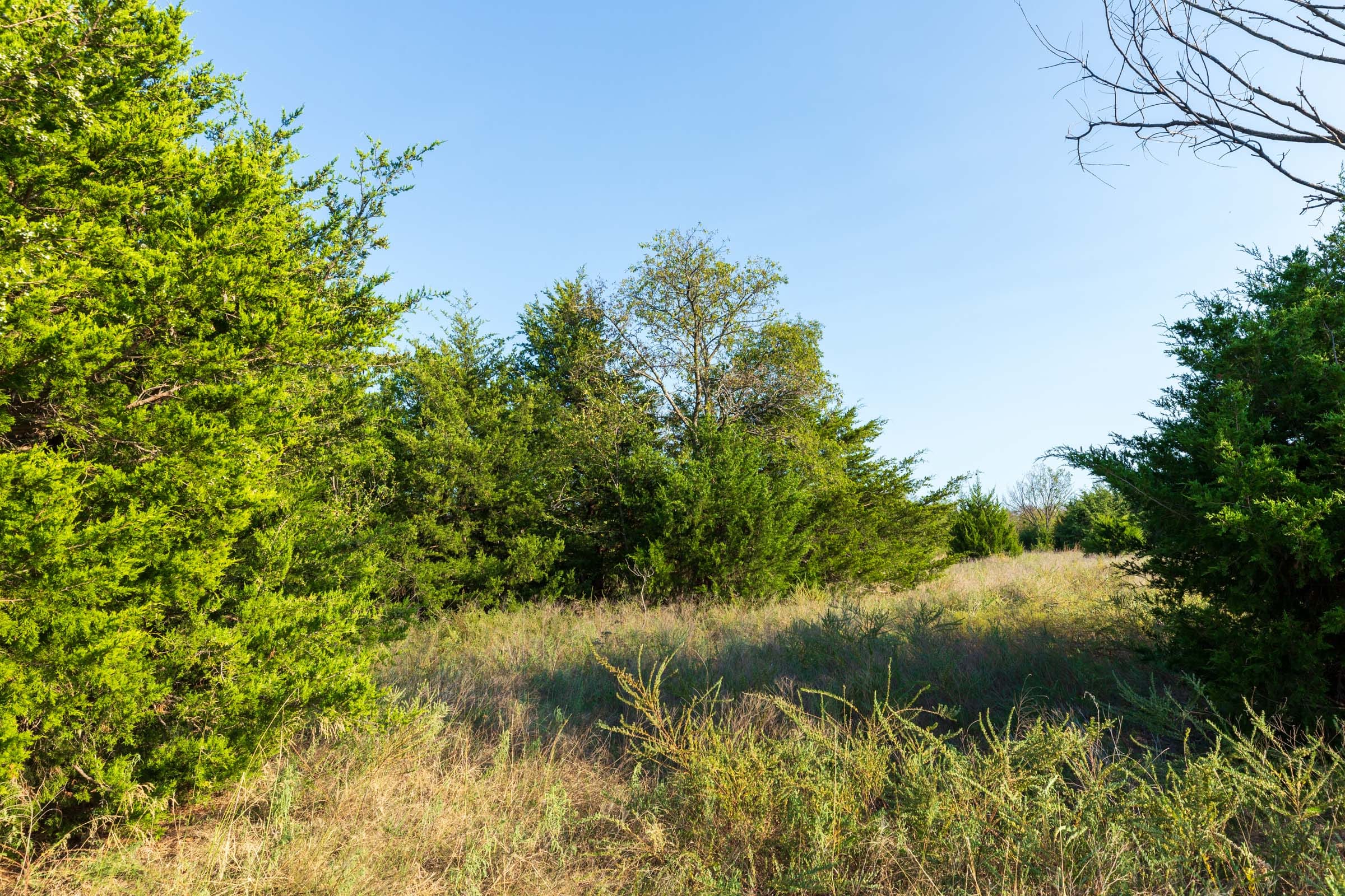 Canyon Creek Tract 7 photo 11