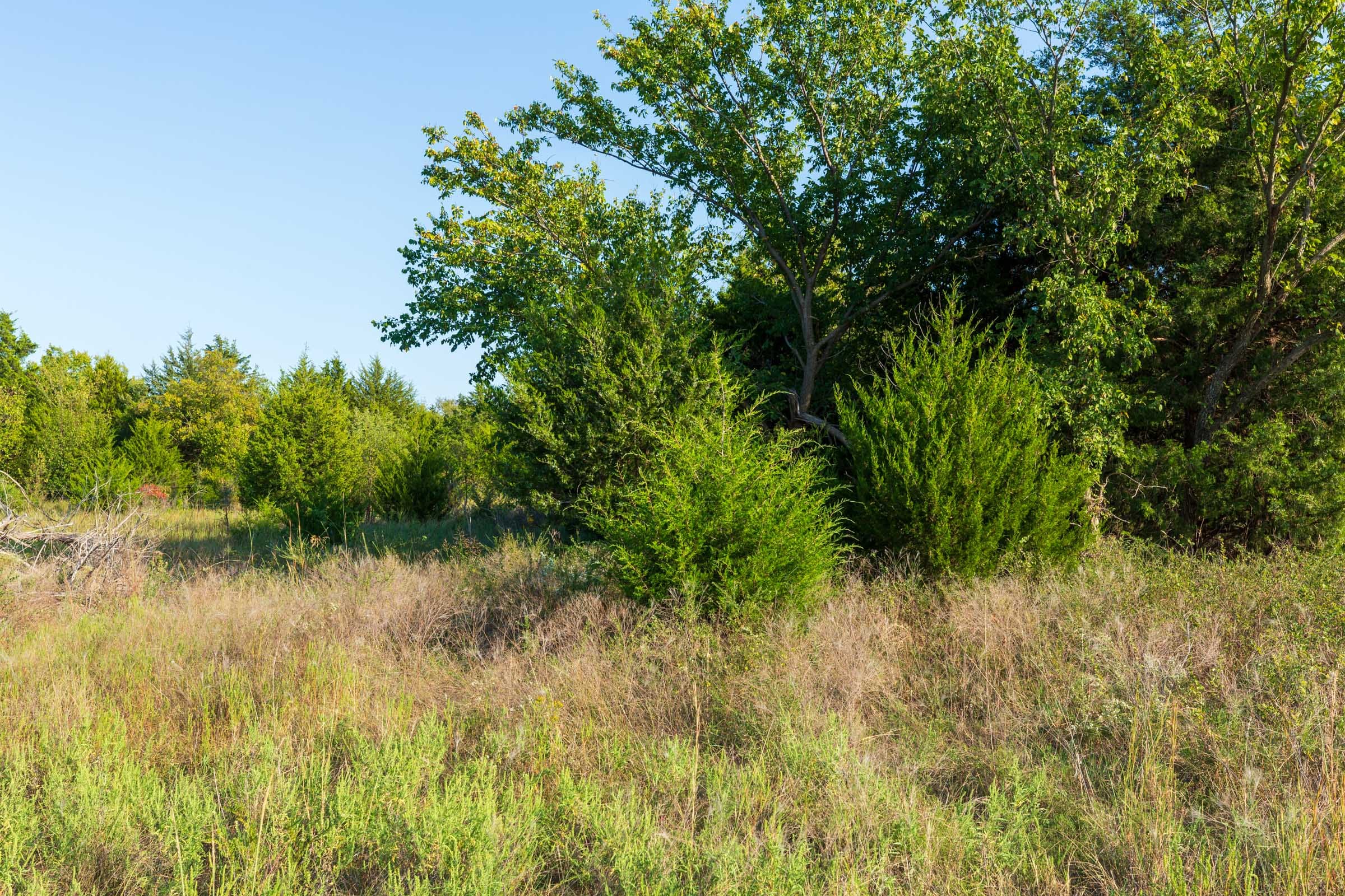 Canyon Creek Tract 7 photo 12