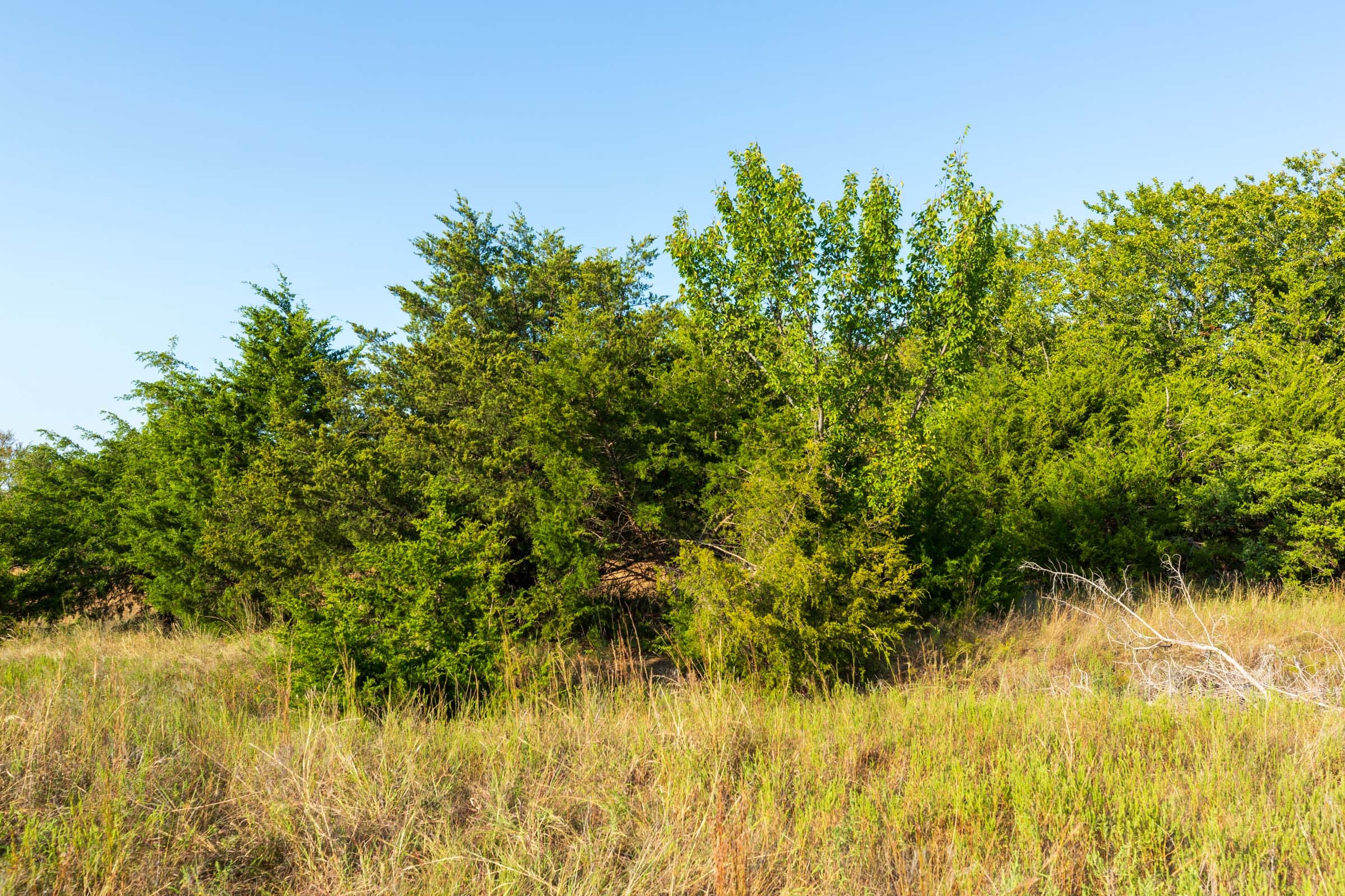 Canyon Creek Tract 7 photo 13