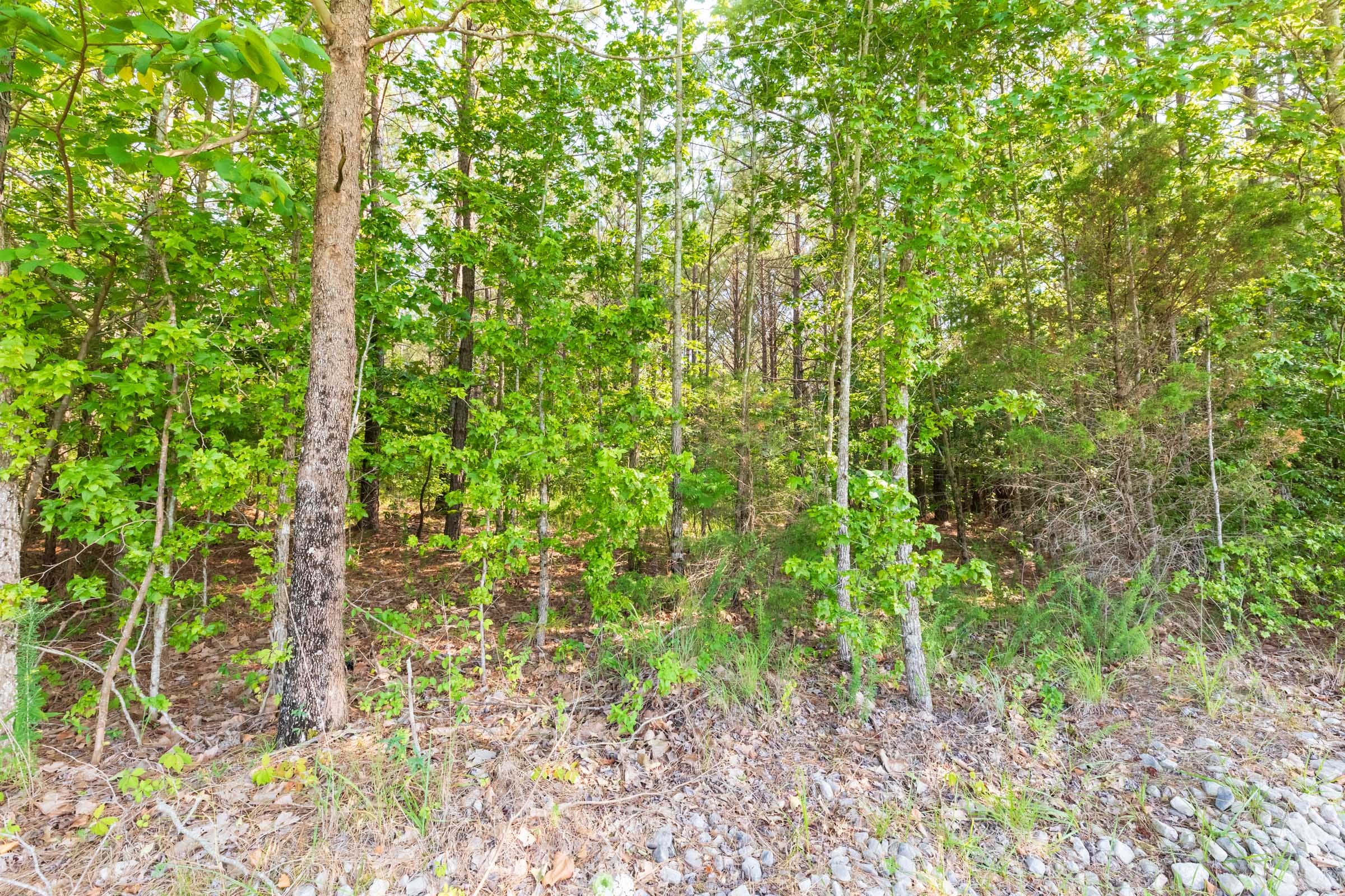 Whiskey Ridge Tract 110 photo 6