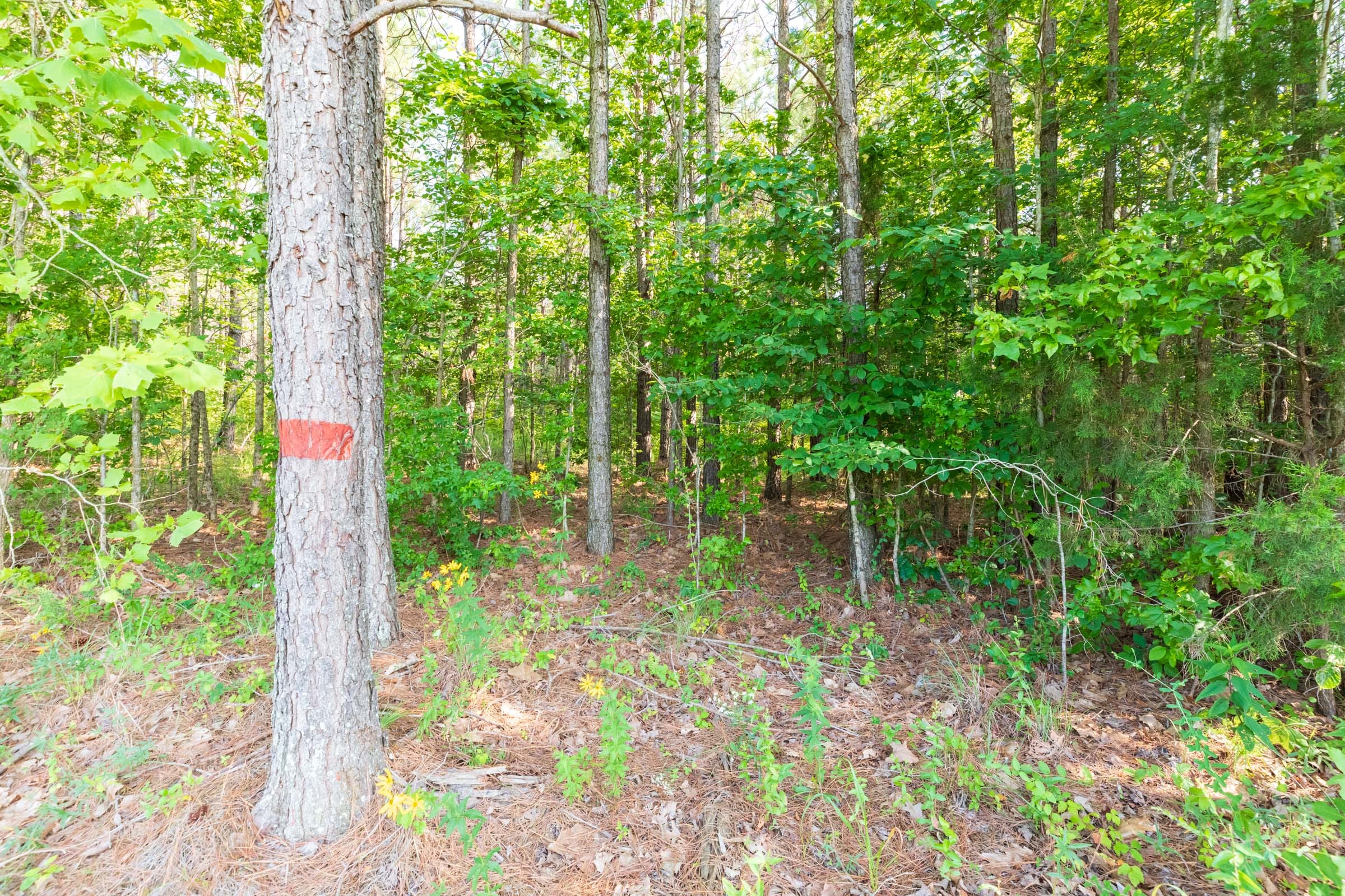 Whiskey Ridge Tract 110 photo 7