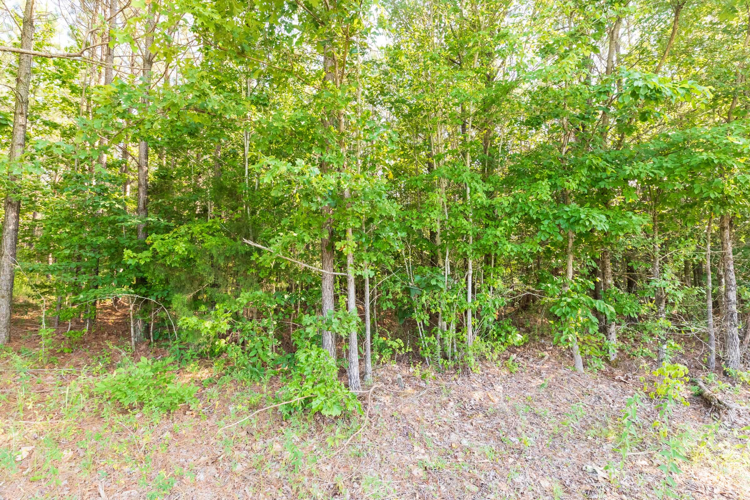 Whiskey Ridge Tract 110 photo 10