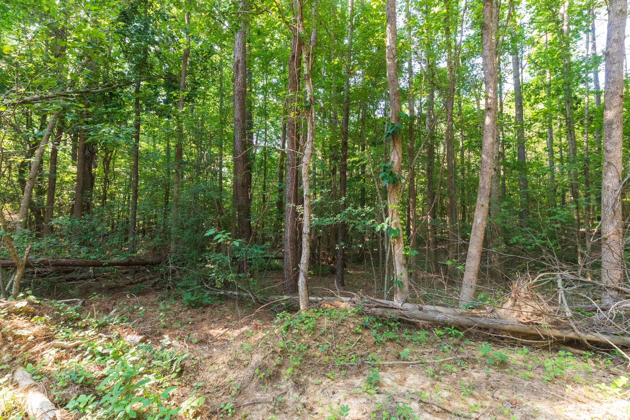 Whiskey Ridge Tract 110 photo 5
